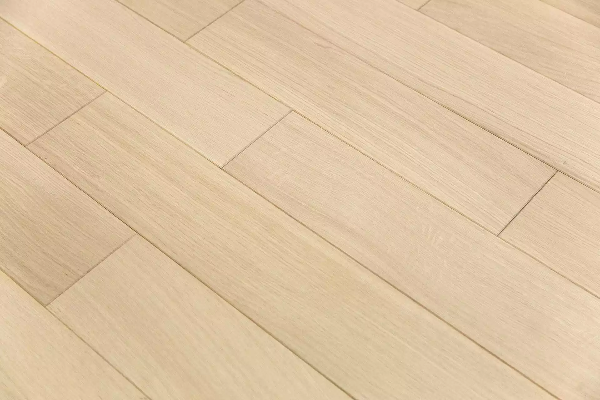 SAND OAK NOBLESS - Image 3
