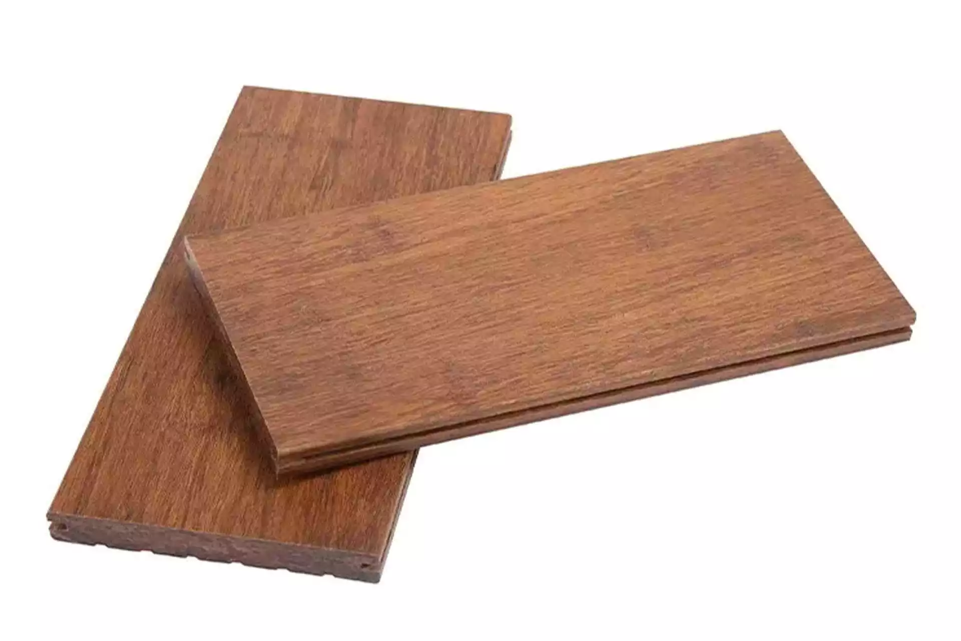 Bambou M-series - Image 3