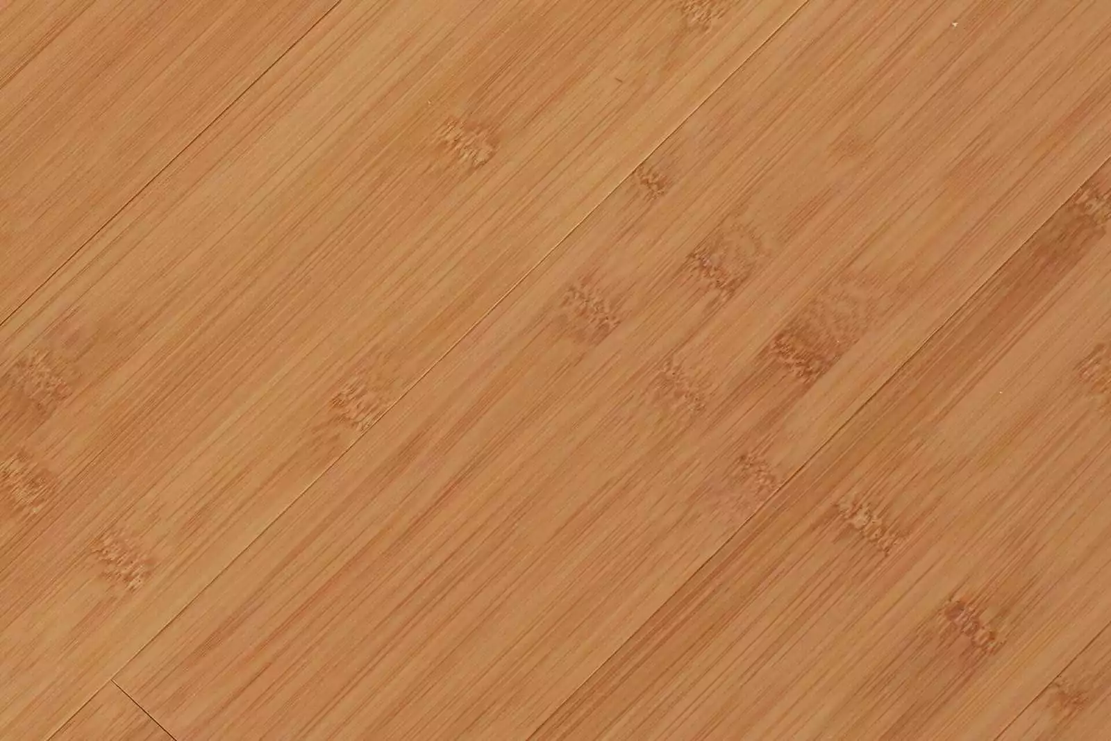 Horizontal BAMBOO OILED COFFEE - Image 3