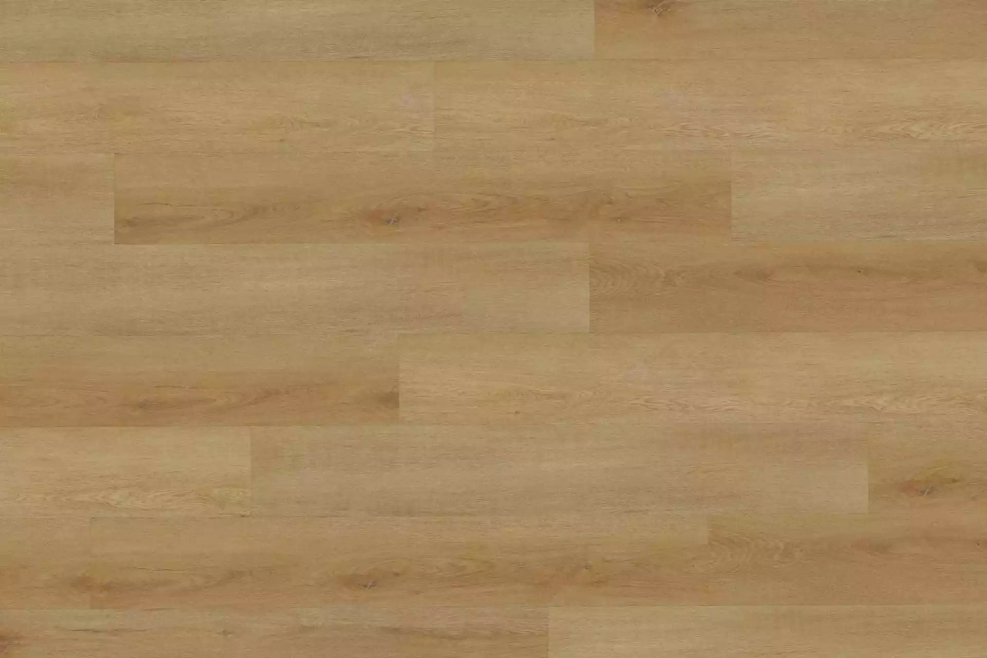 Delicate Oak Amber XL - Image 1