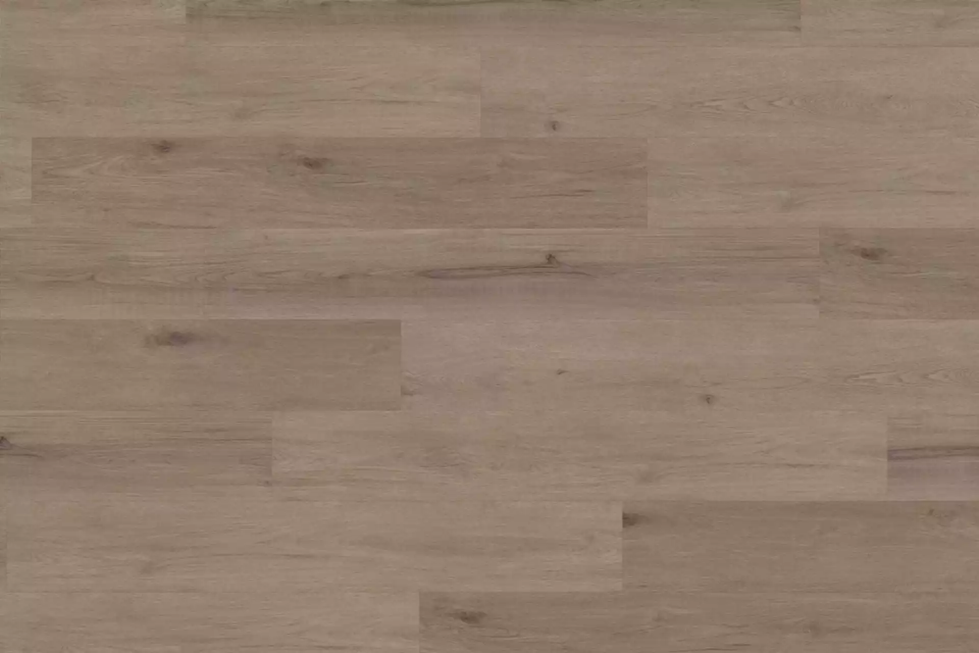 Aspen Oak Dark Greige XL - Image 1