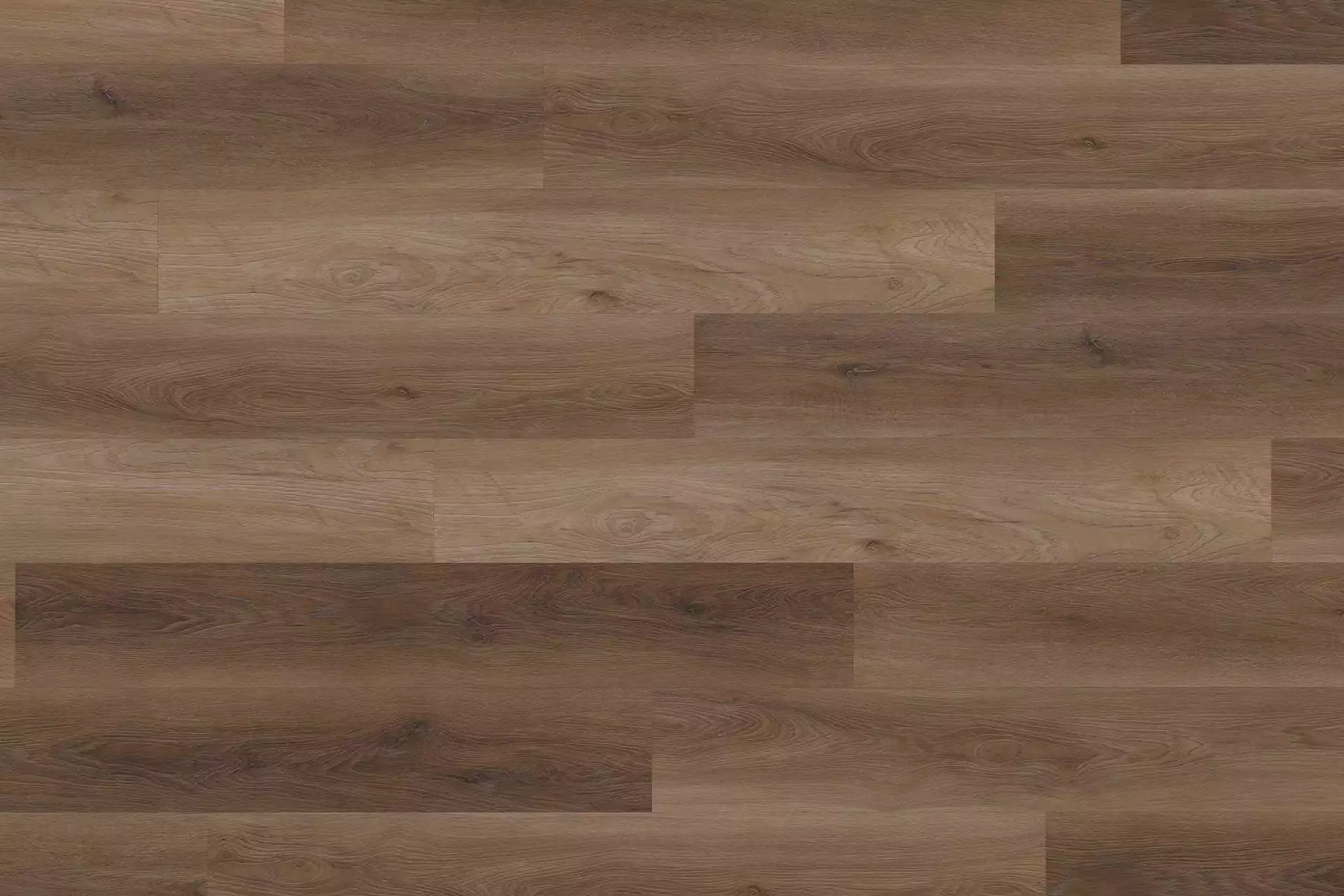 Solide Walnut Natural XL - Image 1