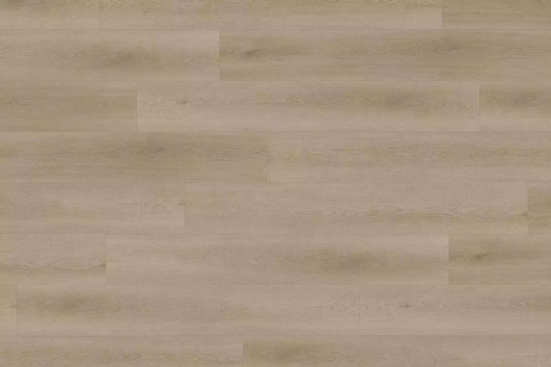 Solide Raw Oak Light Natural XL - Image 1