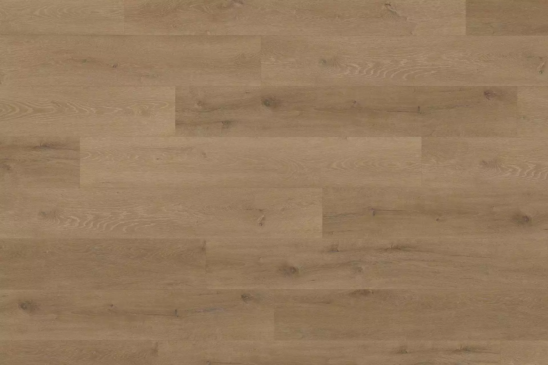 Solide Prestige Oak Light Amber XL - Image 1