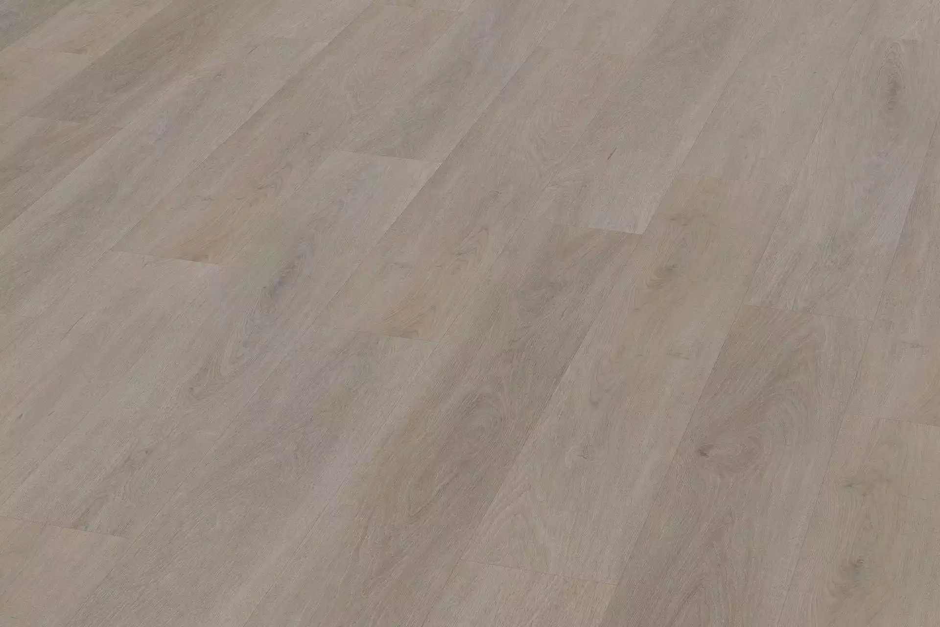 Solide English Oak Greige XL - Image 4