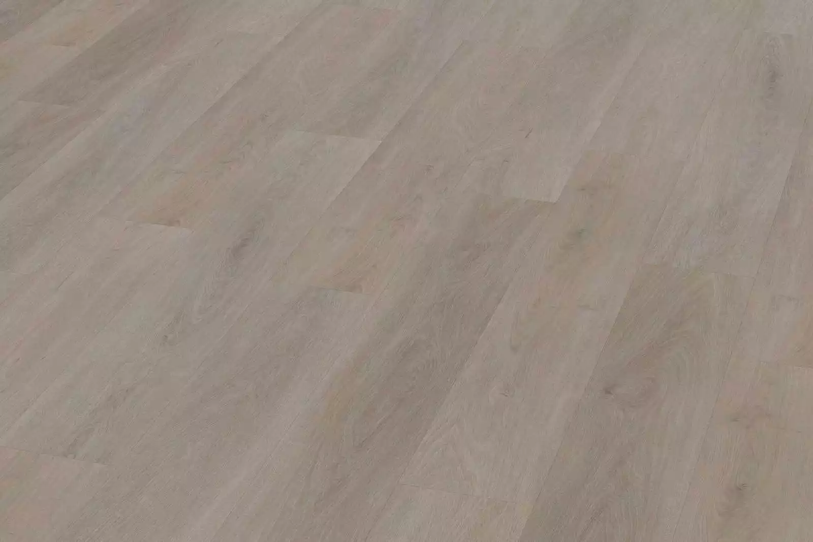 Solide English Oak Greige XL - Image 4