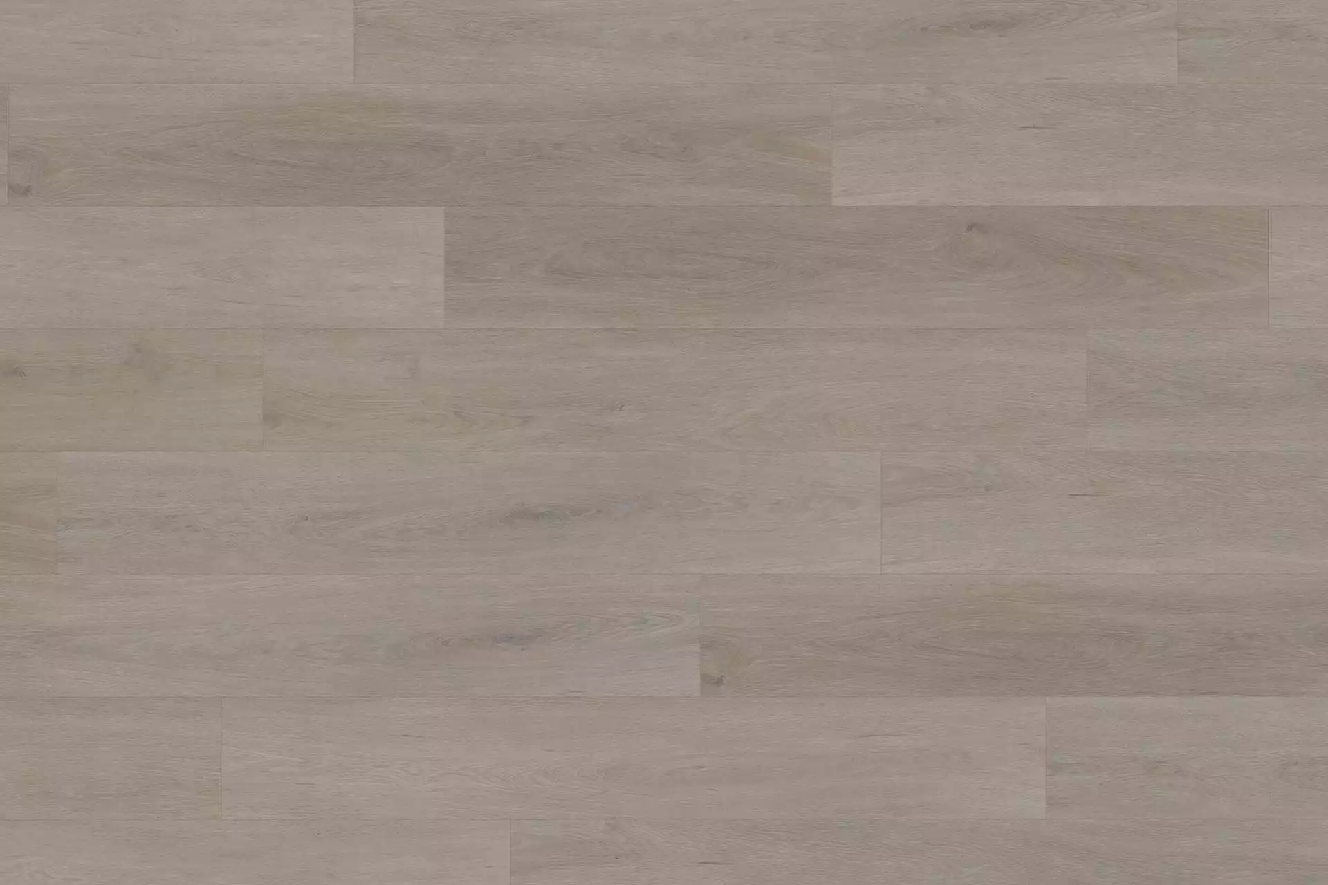Solide English Oak Greige XL - Image 3