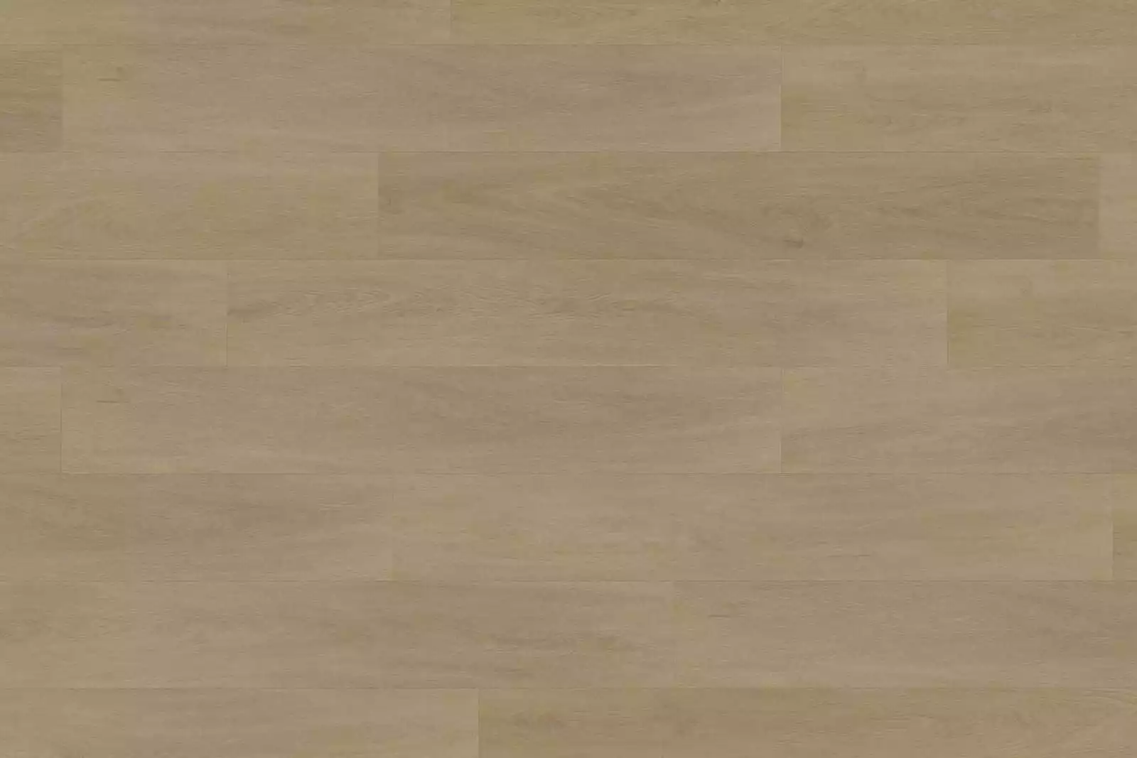 Solide English Oak Natural XL - Image 2