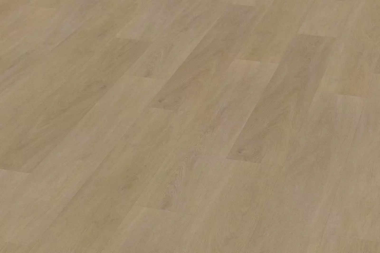 Solide English Oak Natural XL - Image 4
