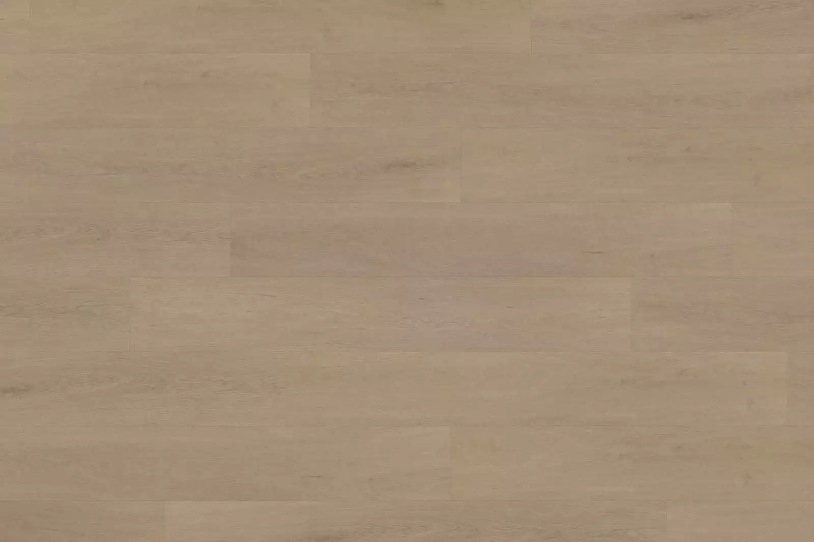 Solide English Oak Warm Natural XL - Image 2