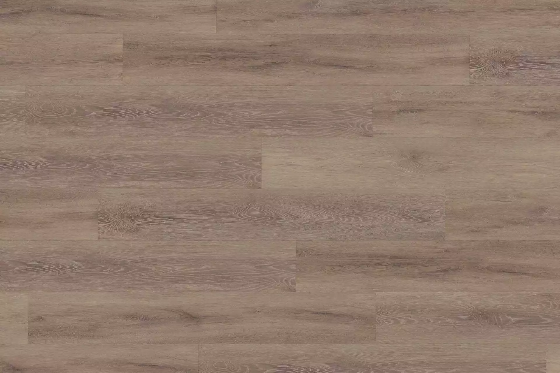Solide Cerused Oak Dark Natural XL - Image 1