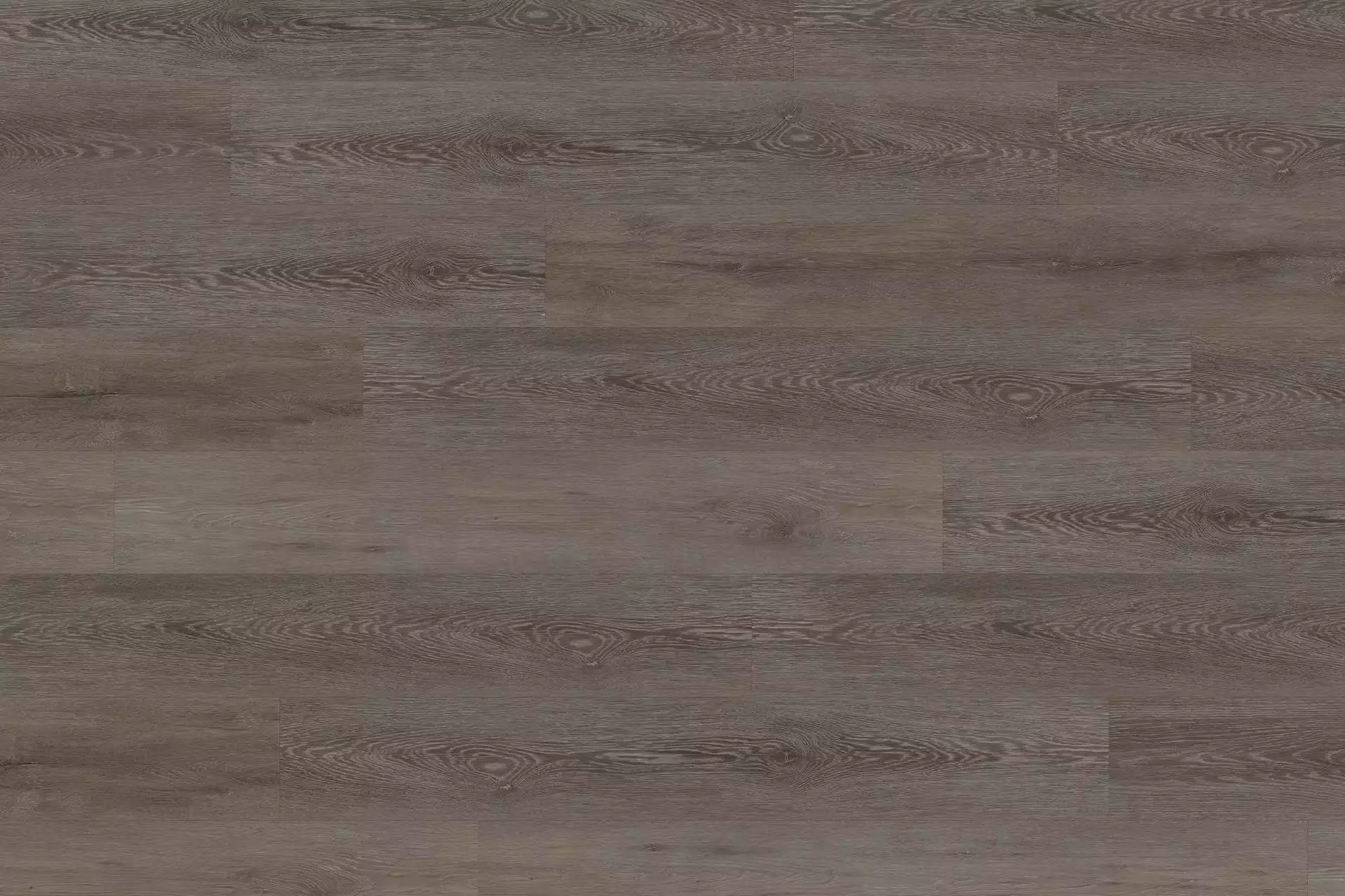 Solide Cerused Oak Dark Brown XL - Image 2
