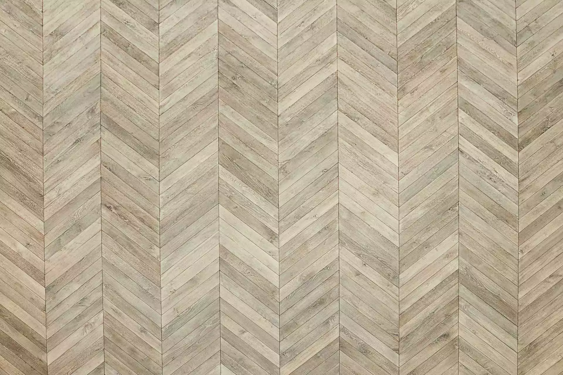 CÉLESTE CHEVRON - Image 4