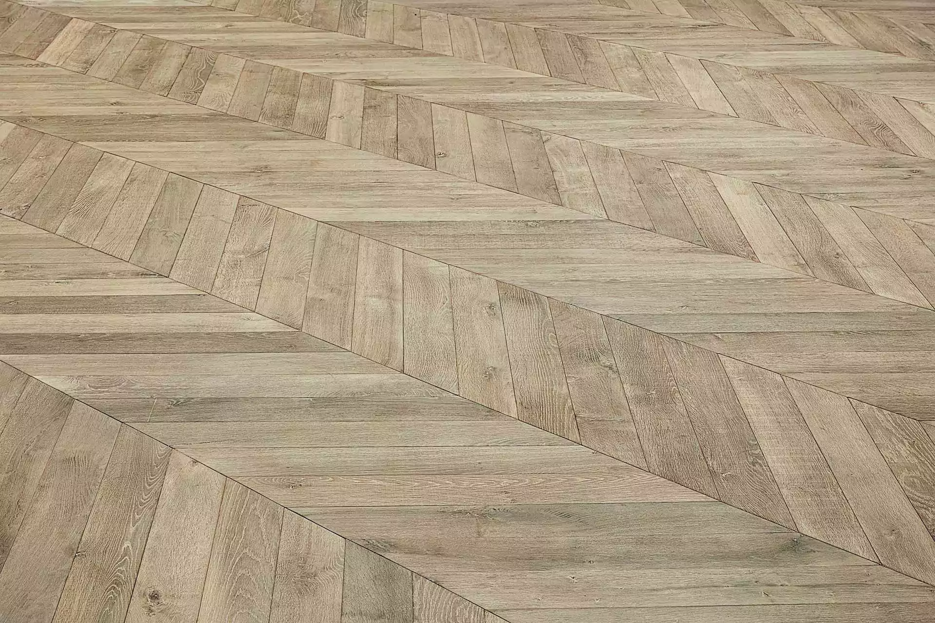 CÉLESTE CHEVRON - Image 6
